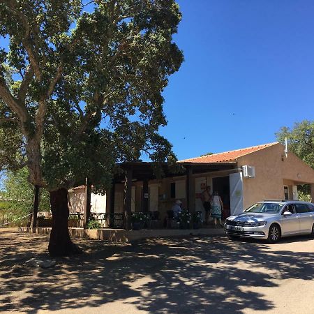 Camping Pezza Cardo Porto-Vecchio  Exterior foto