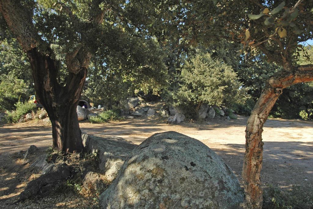Camping Pezza Cardo Porto-Vecchio  Exterior foto